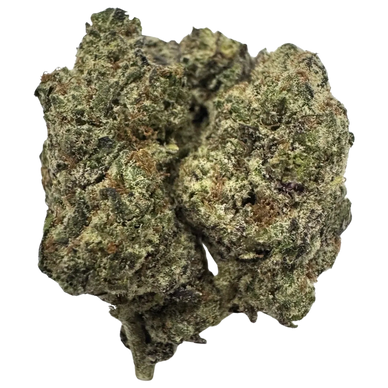 Bacio Gelato