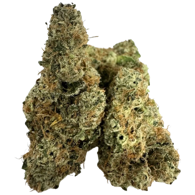 MULE FUEL